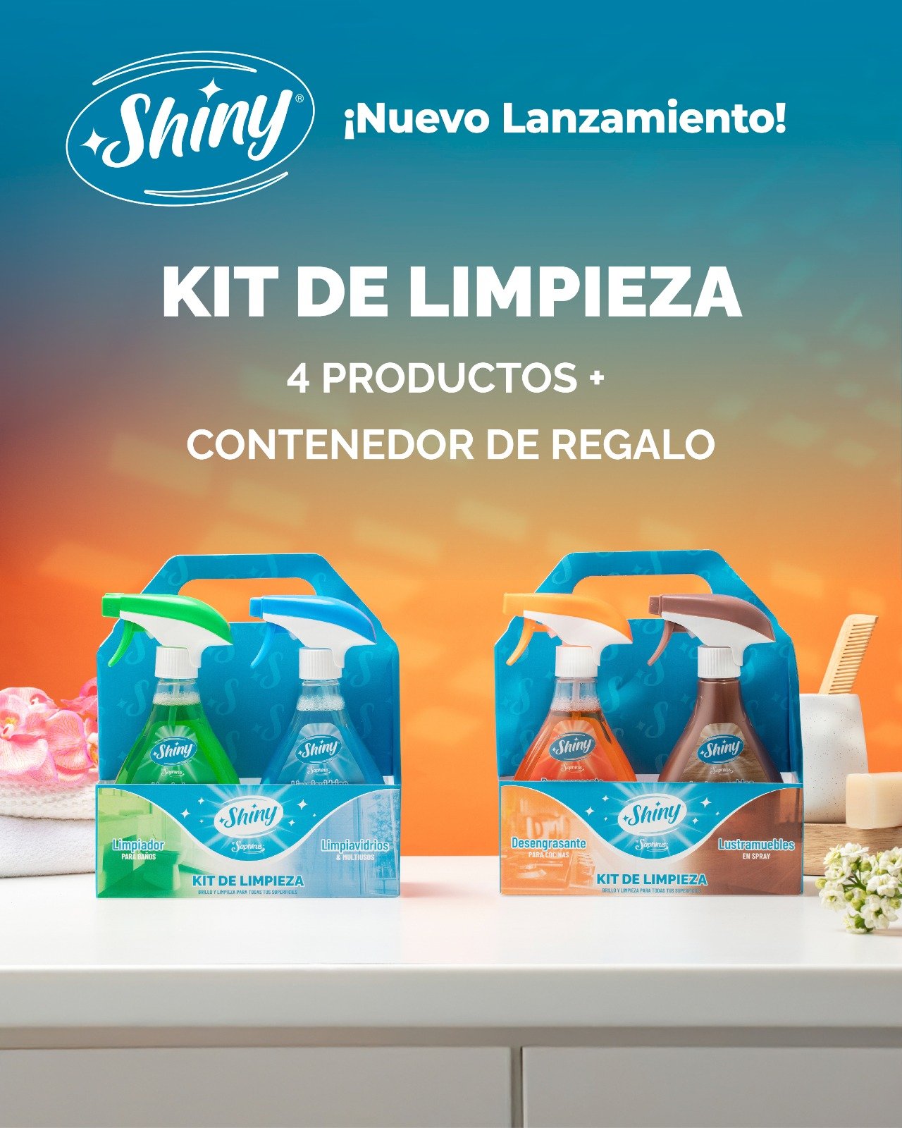 Kit Limpieza 4 Productos